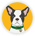 CBD Dog Health Events